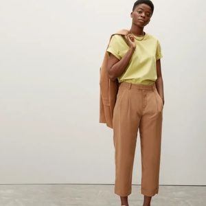 Everlane Tan Cropped Trousers with Light Green Tee